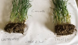 Crop biostimulants: Cutting through the marketing hype